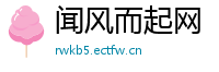 闻风而起网